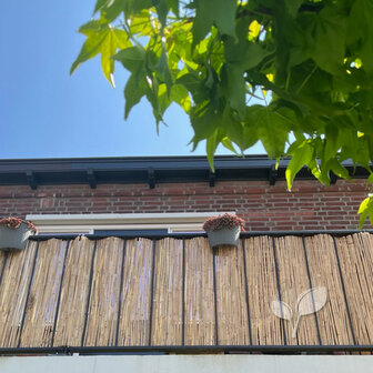 Rieten privacyscherm op het balkon - 80 cm